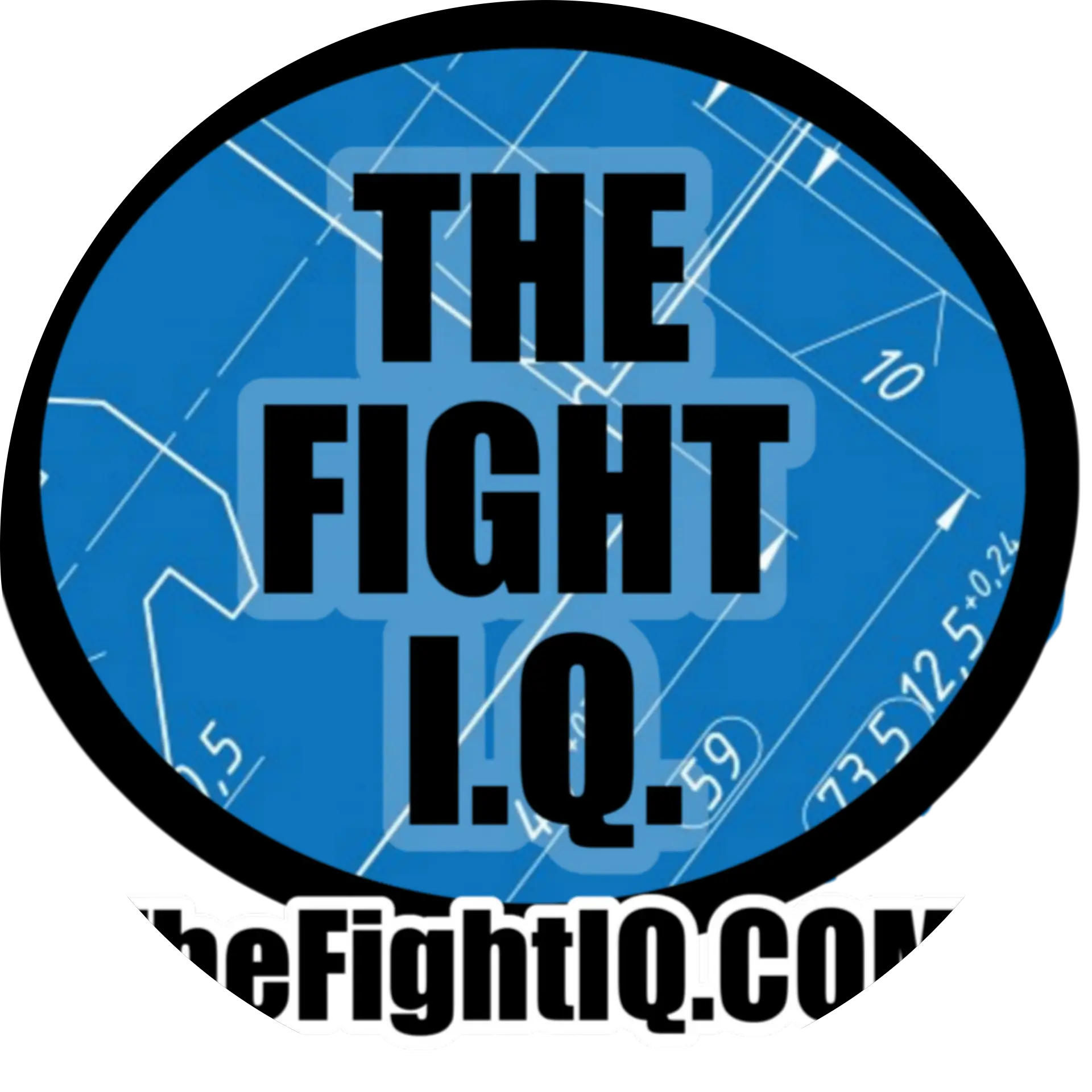 The Fight I.Q.