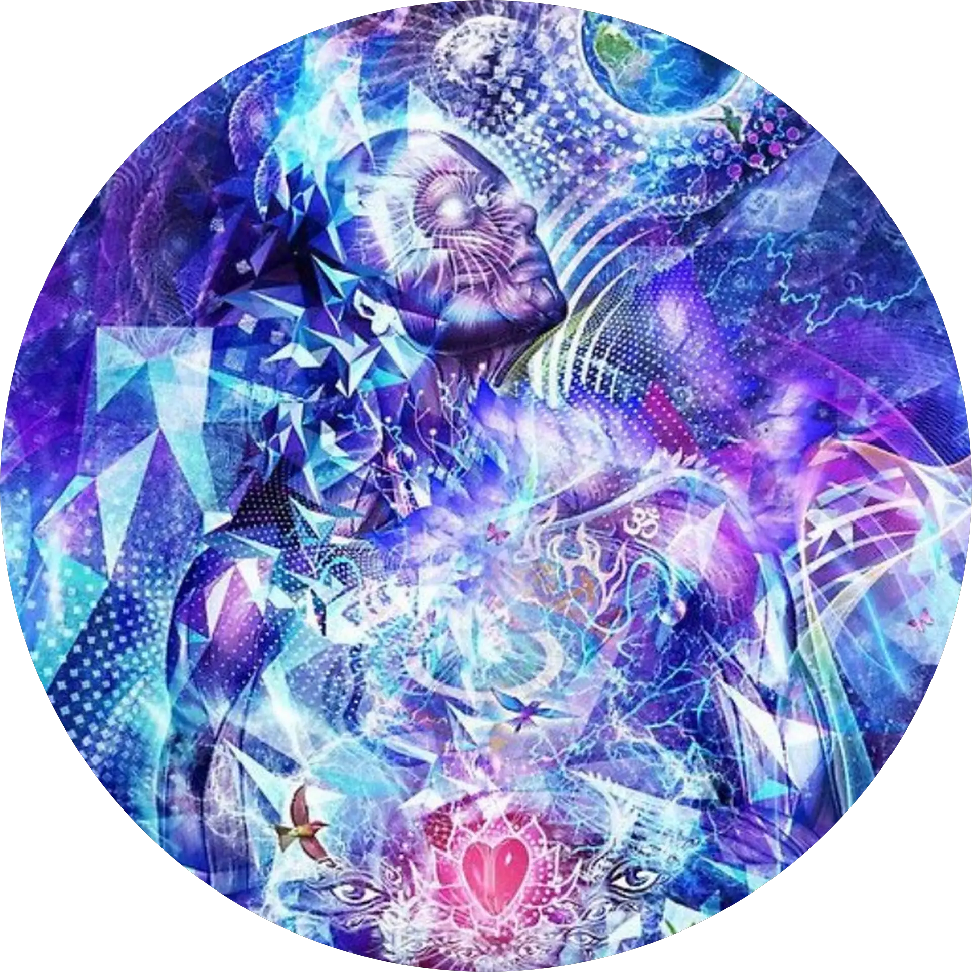Entheo Explorations
