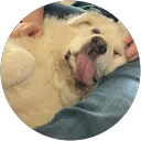 Abigail “Abby” Worth