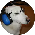 SuperdogTube