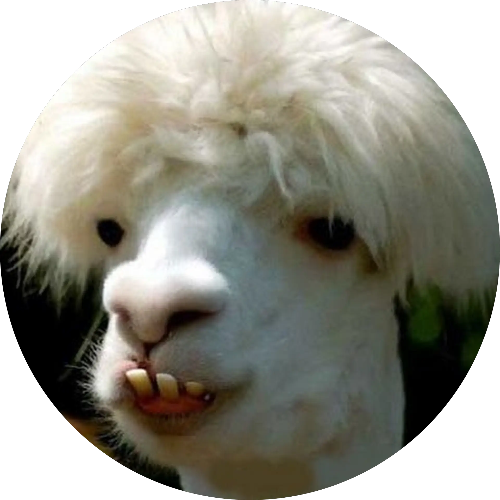 Matthew Abeyta