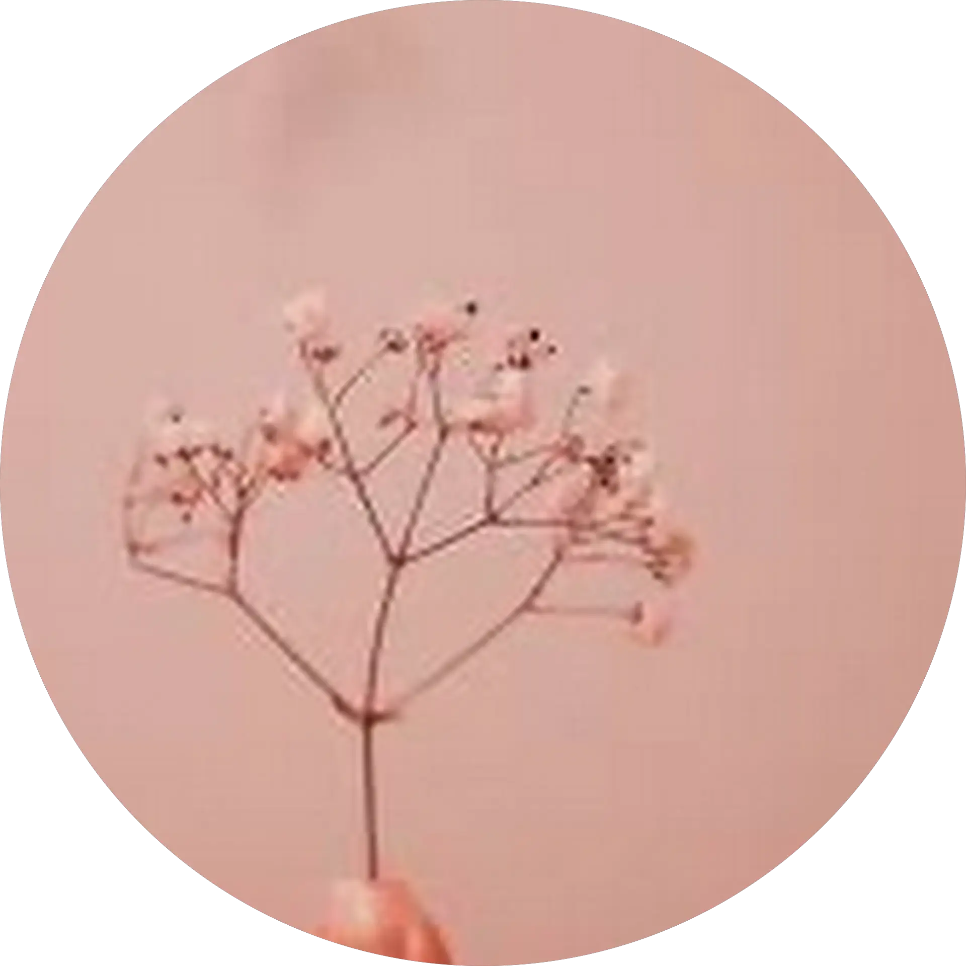 Simply._ Leaf._