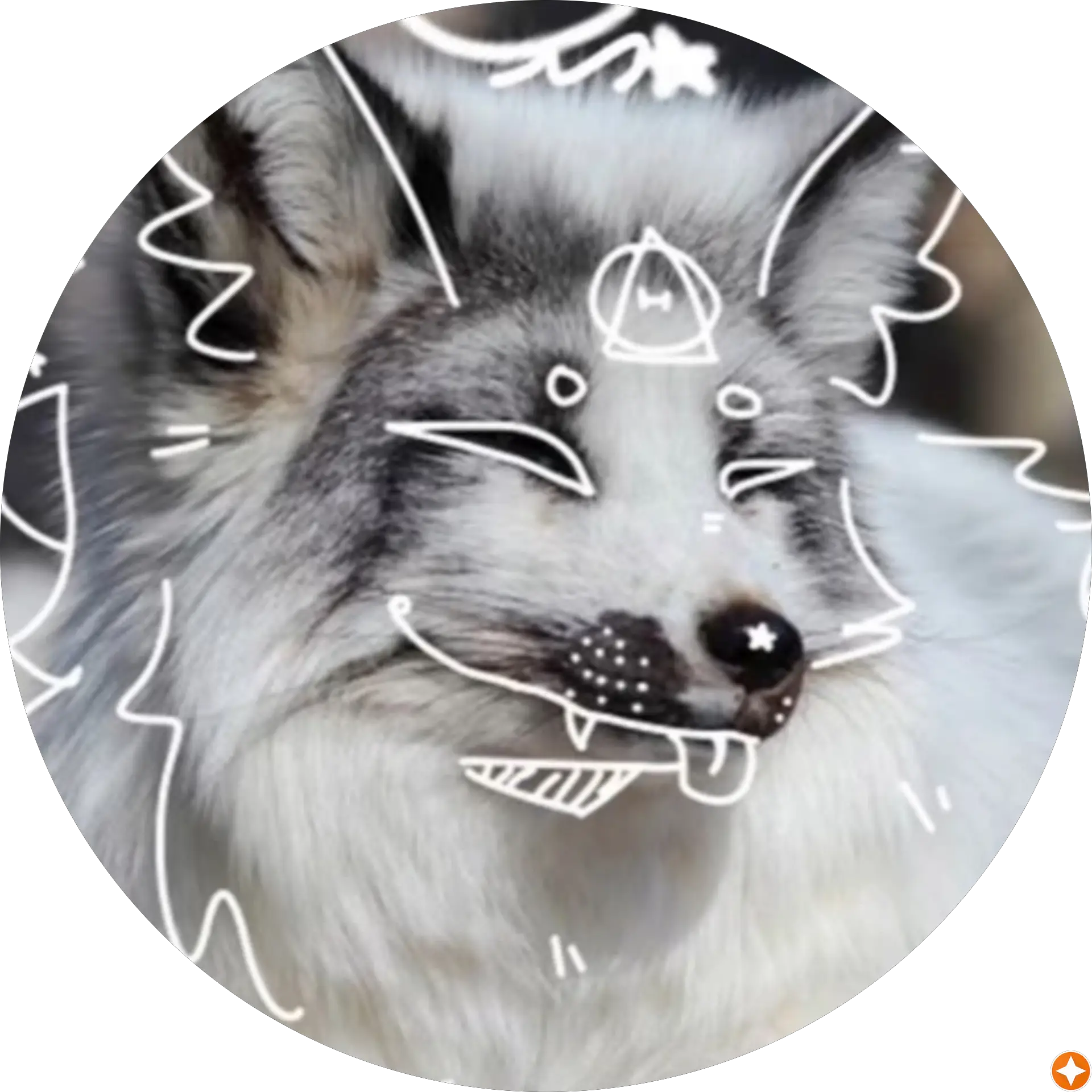 Violette Tse (Vonswiftpaws)
