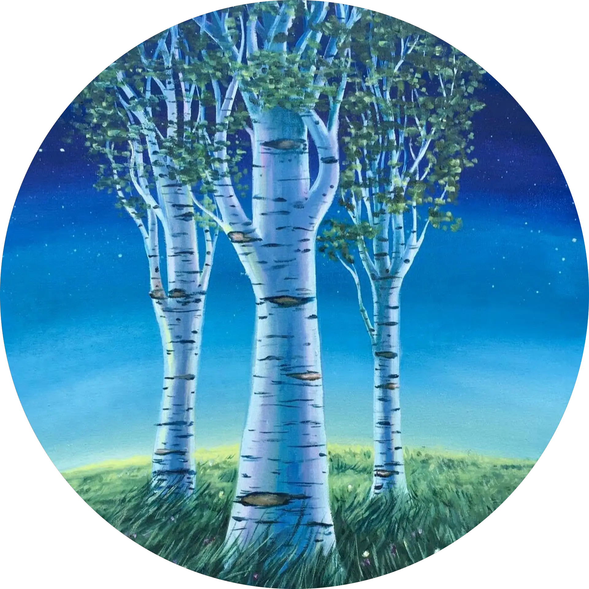 Trish Klenow