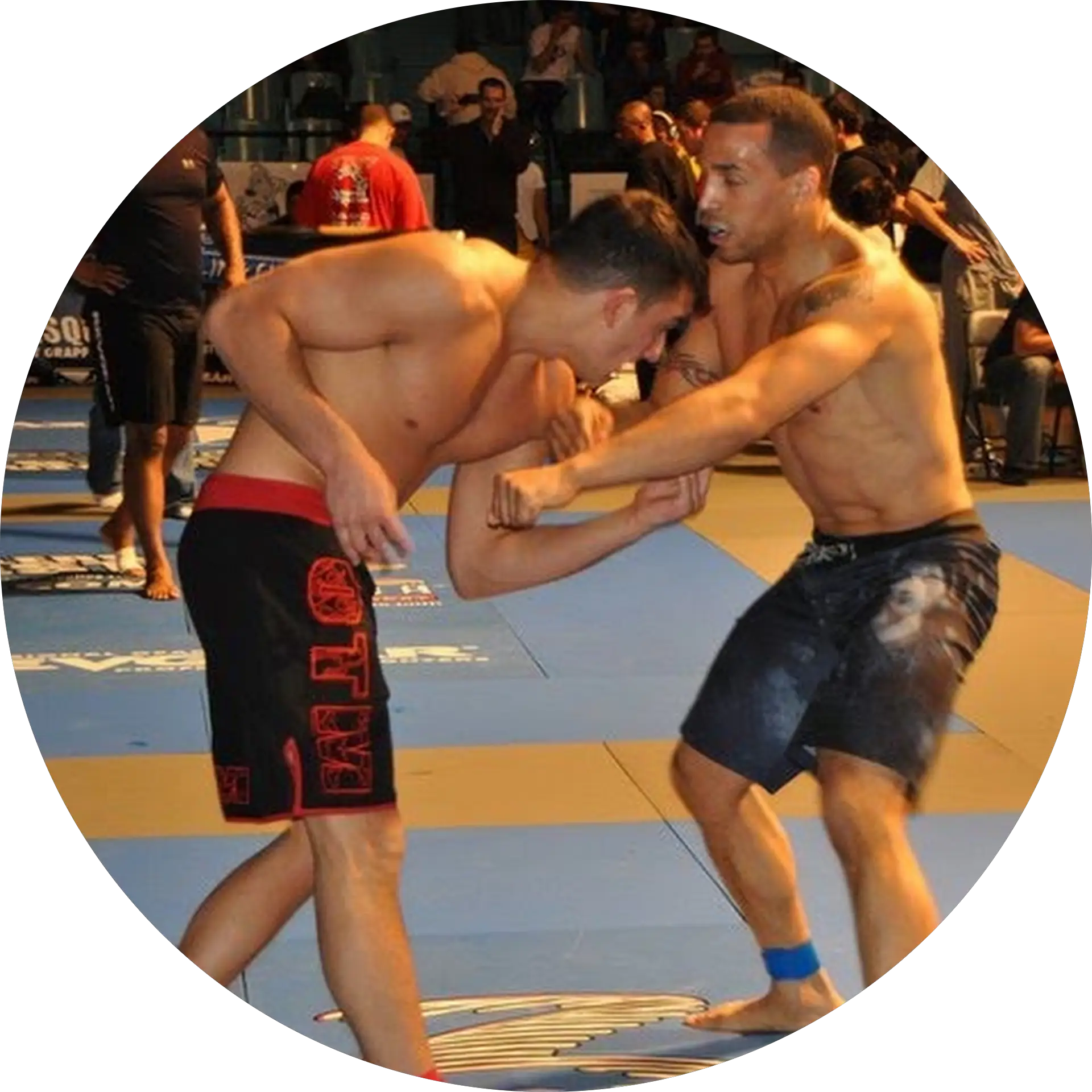 Nick Liaskos