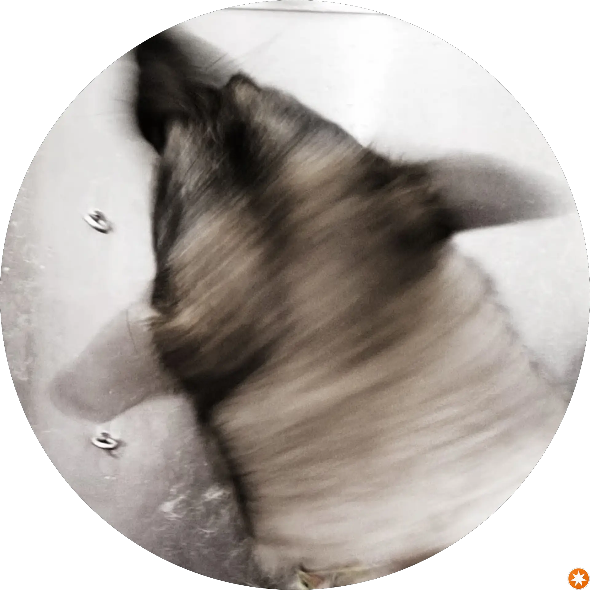 C C