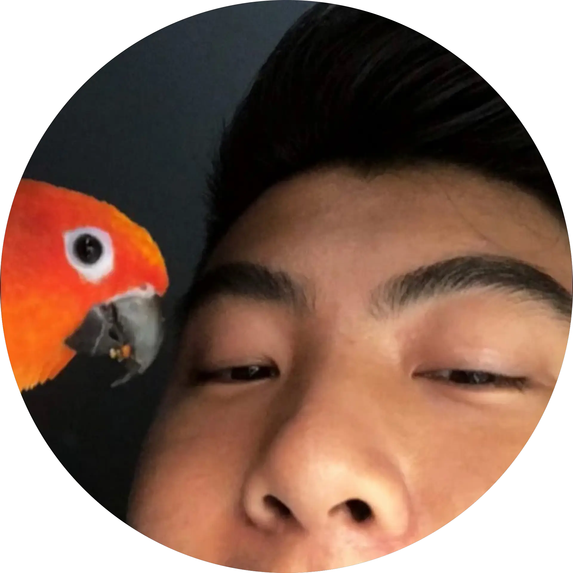 Aaron Yoon