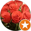 Sadia Nisar