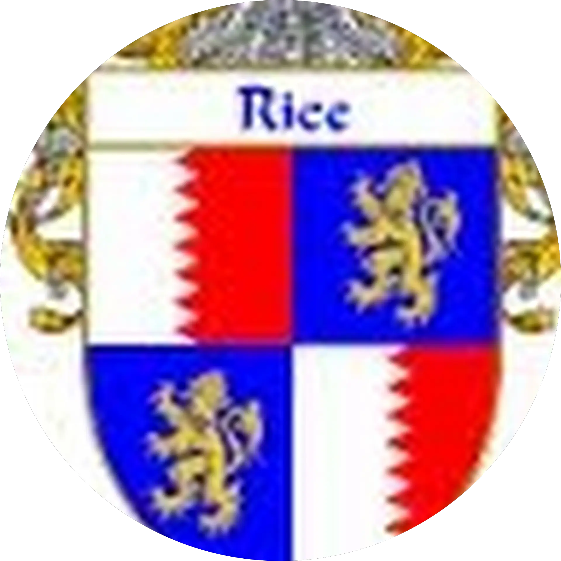 Christopher Rice