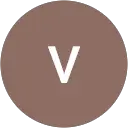 vighnesh vijay