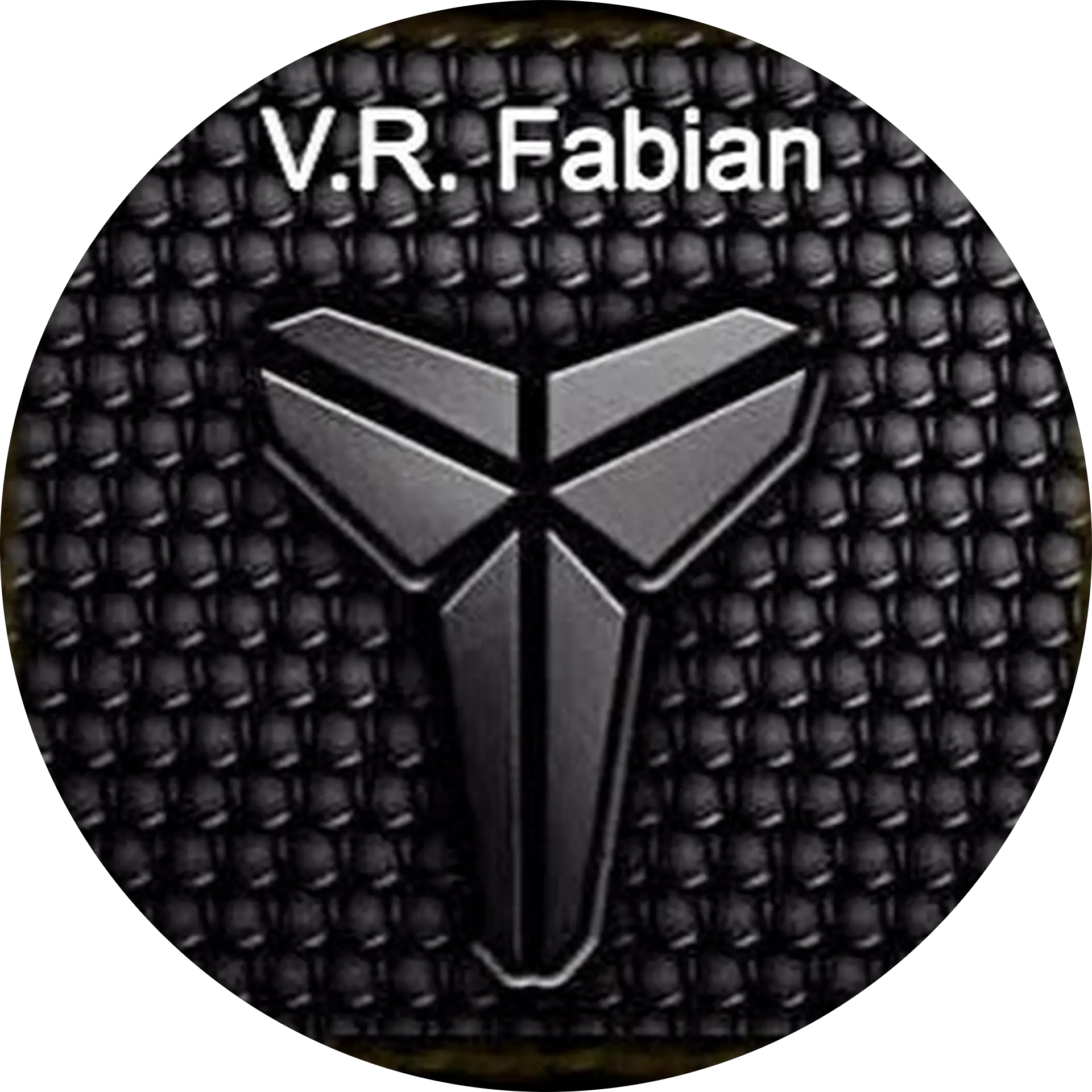 VR Fabian