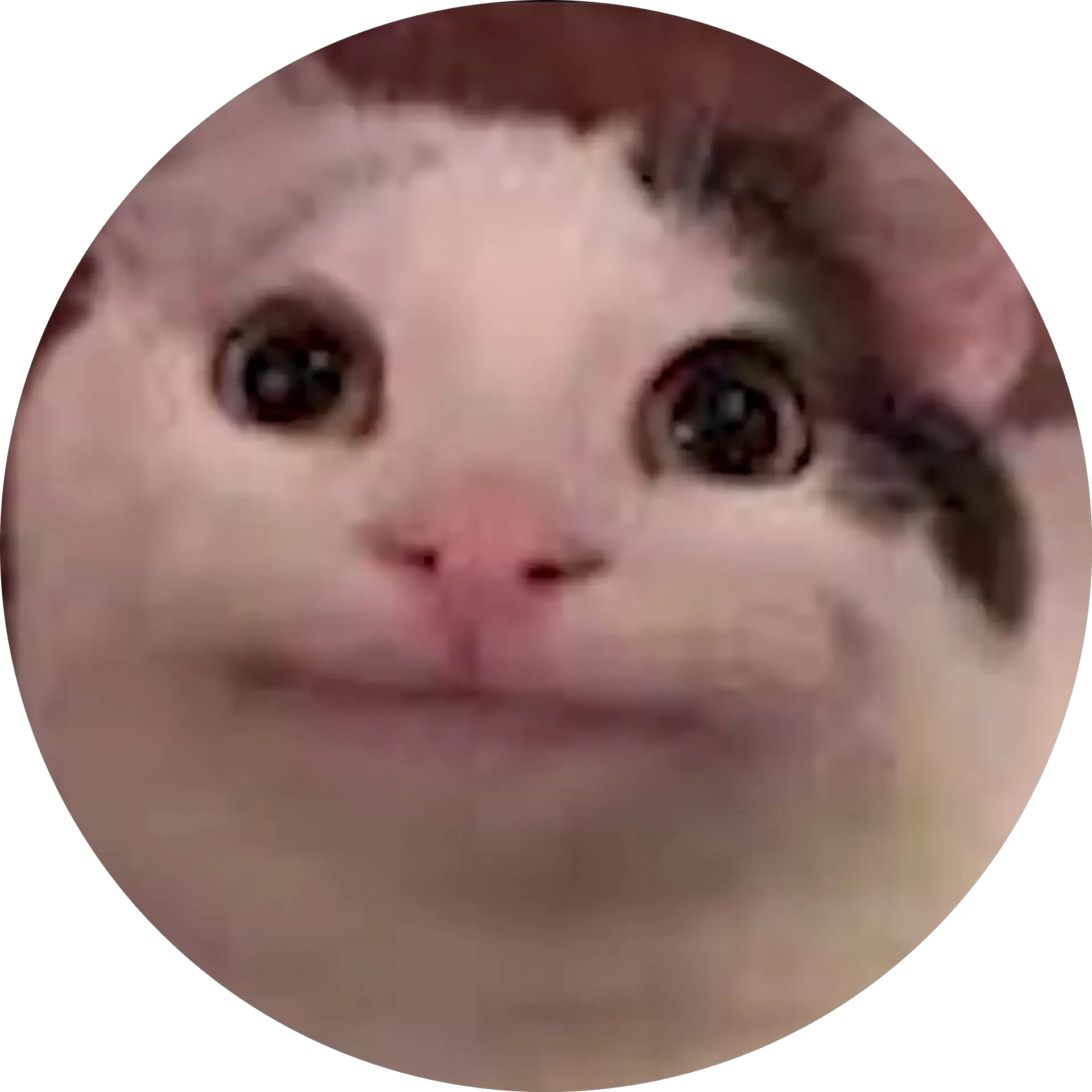 O-O