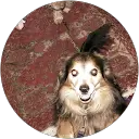 jasper parker trenfield