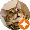 J N