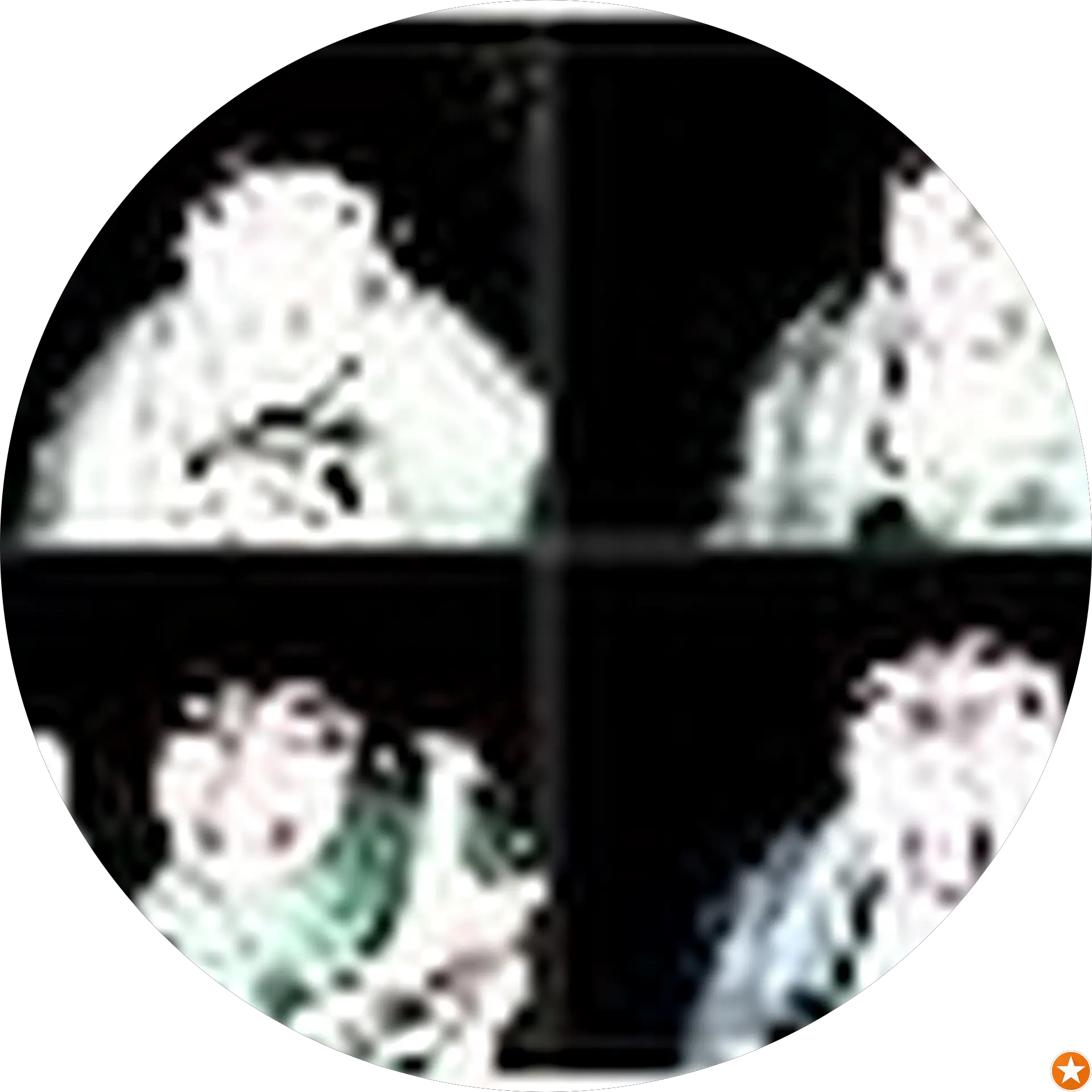 C G