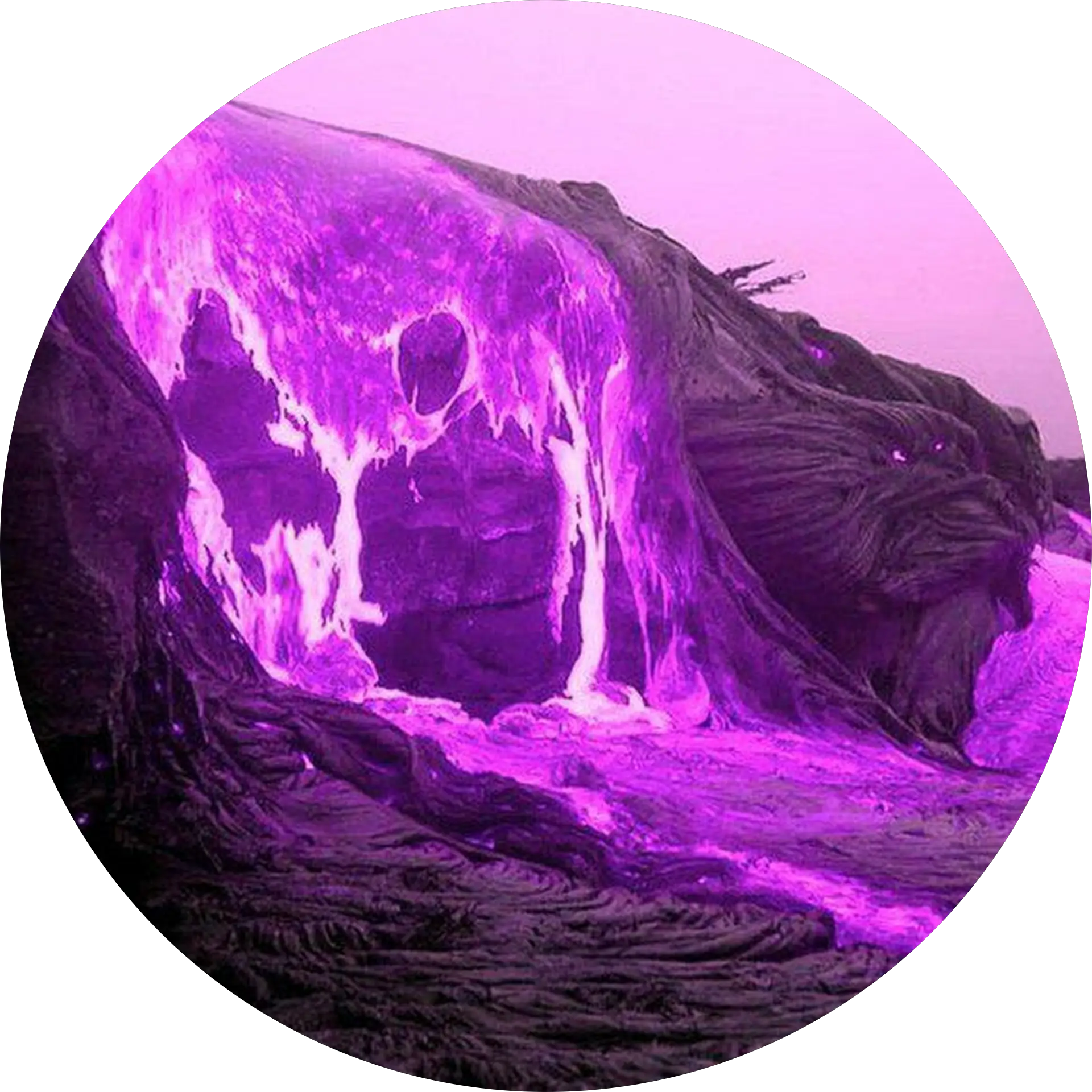 Purple M