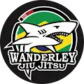 Daniel Wanderley