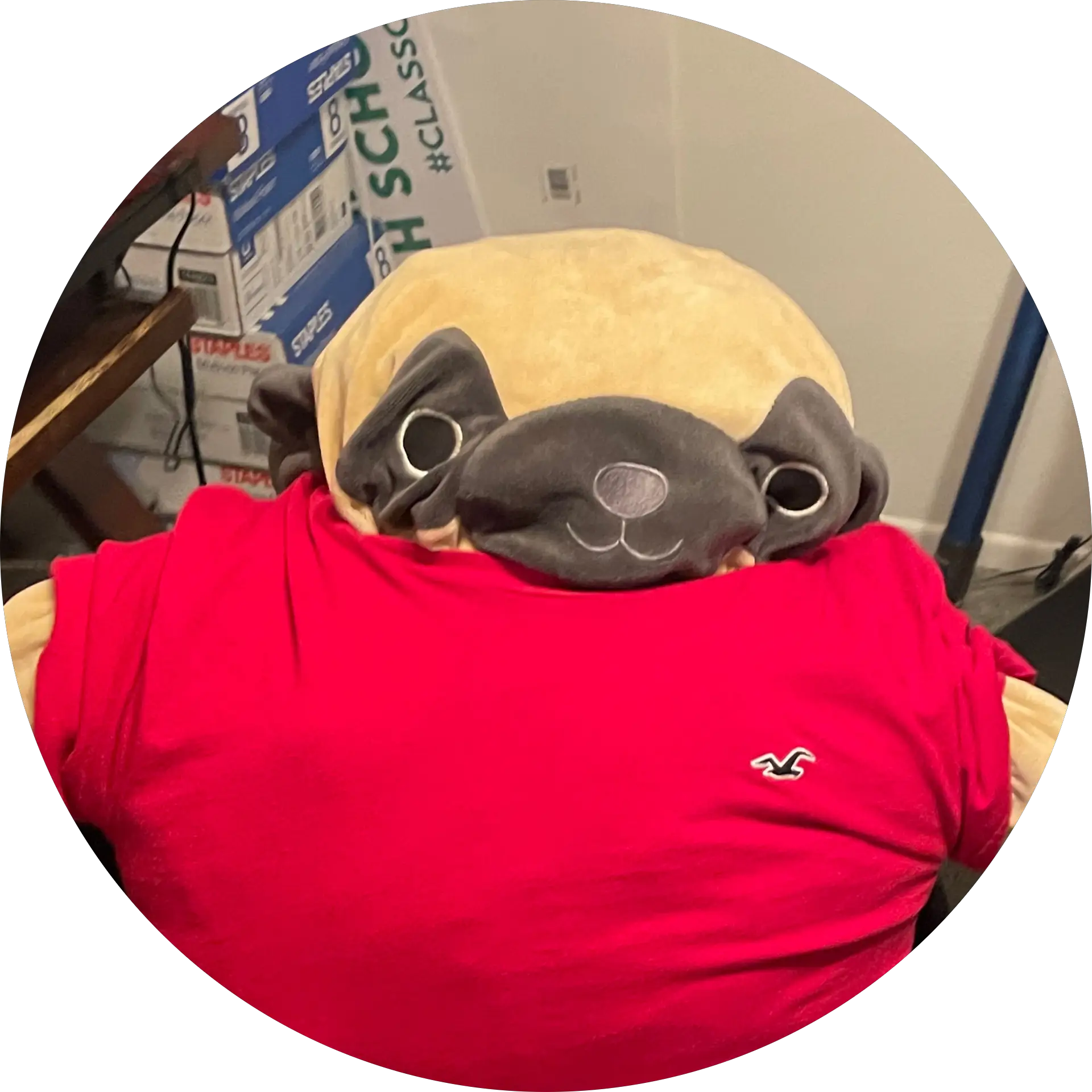 Ryan Sutedja