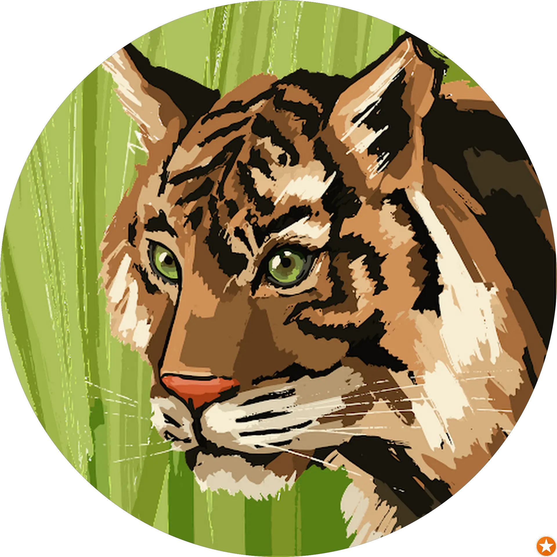 vidhur ds