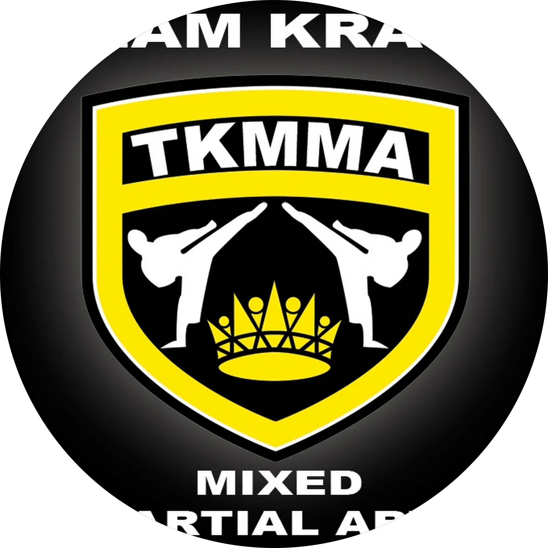 TeamKralj MMA