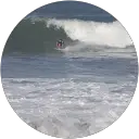 Shane Robinson