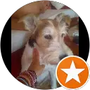I Perez