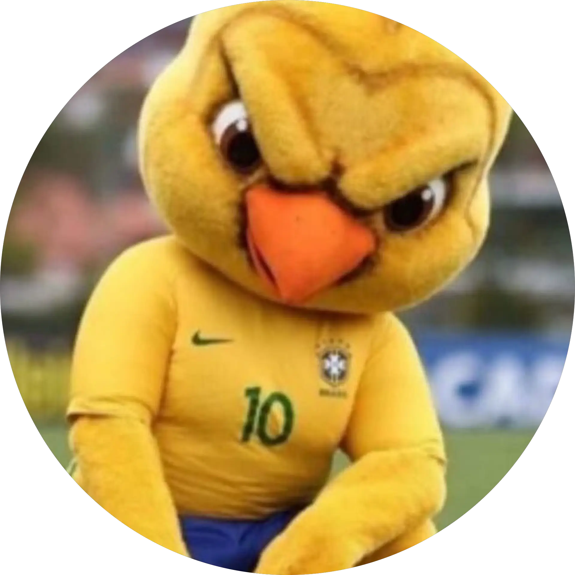 Renan Lucas