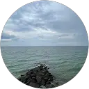 Danny R
