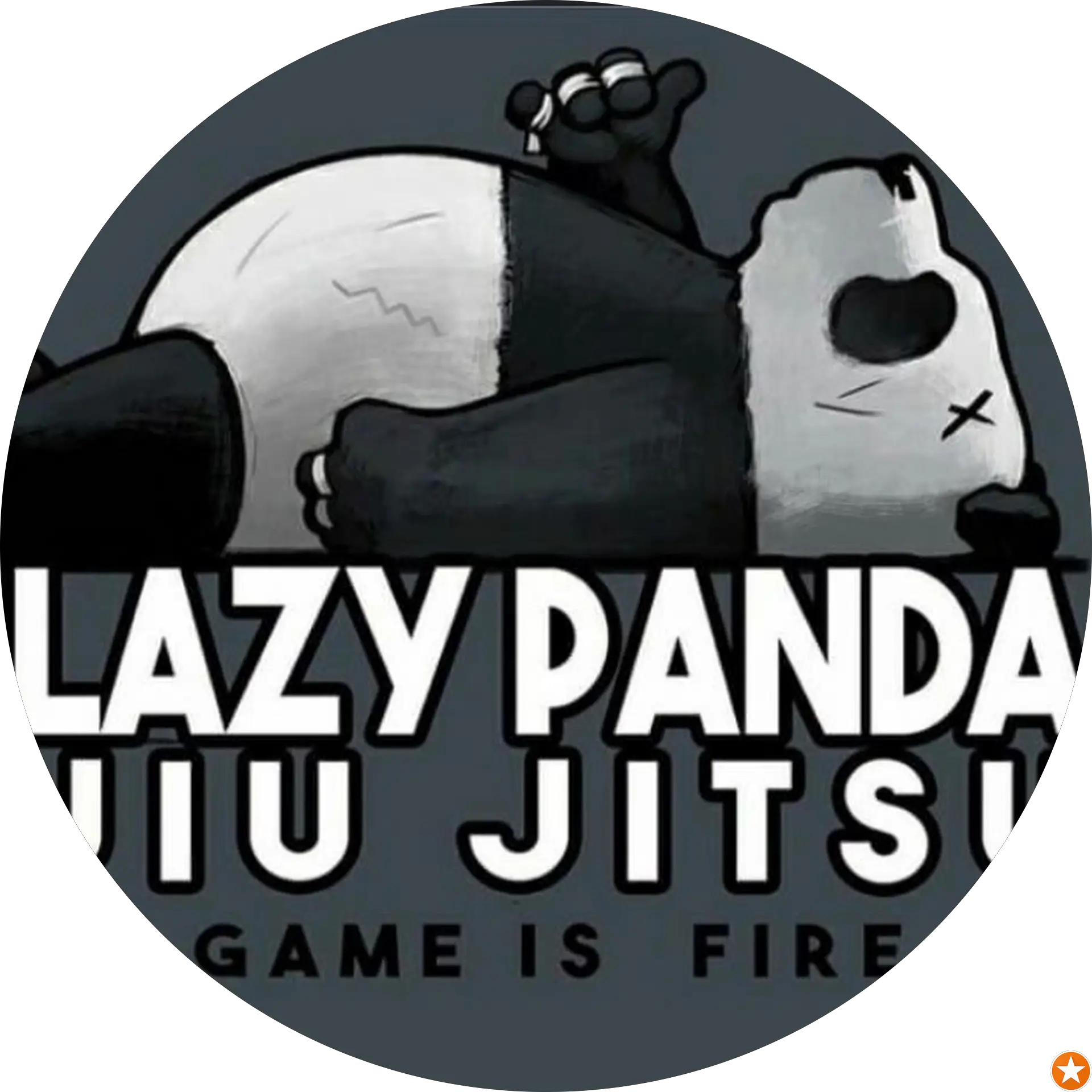 Flyin Panda