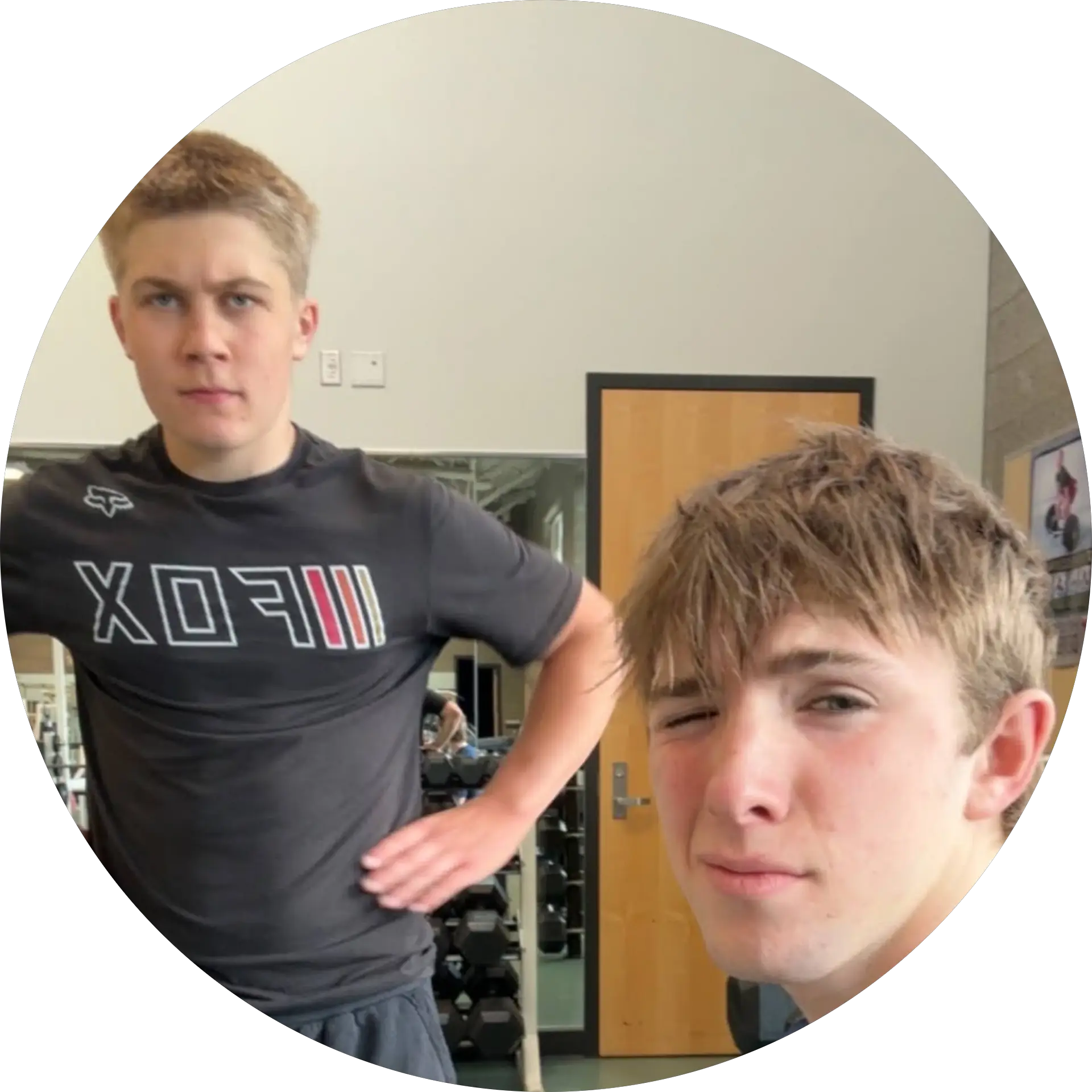 avi wylen