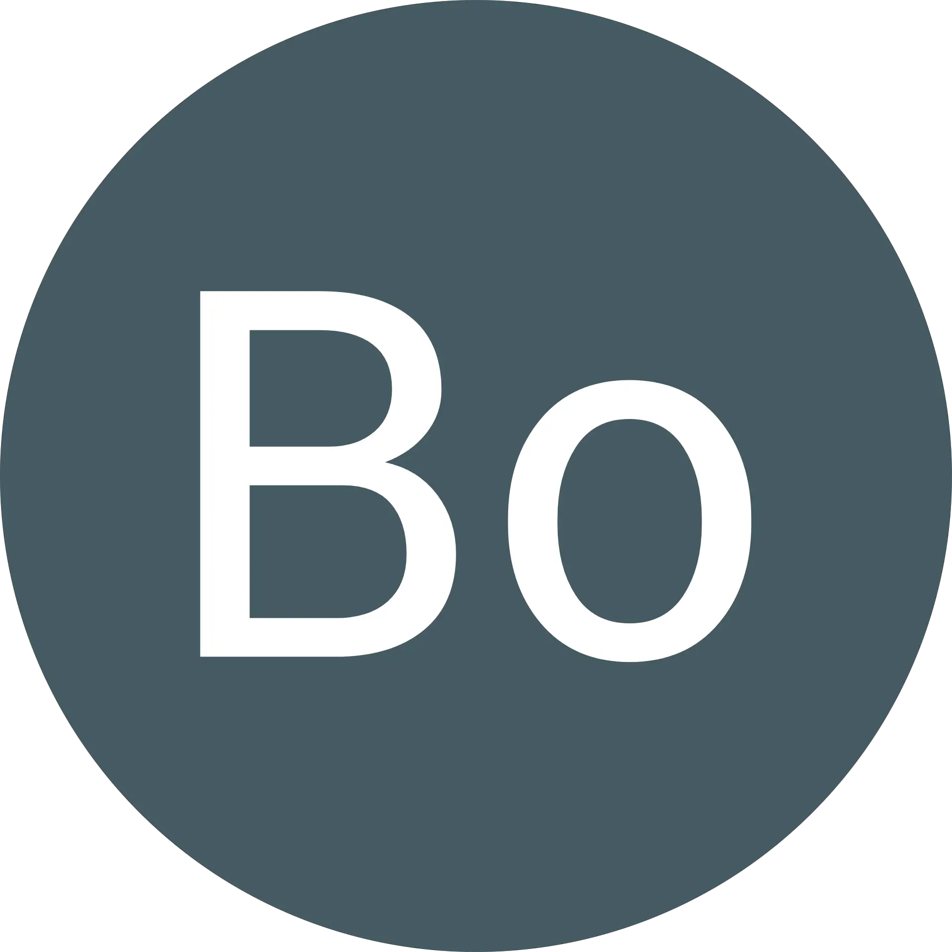 Bo Webster