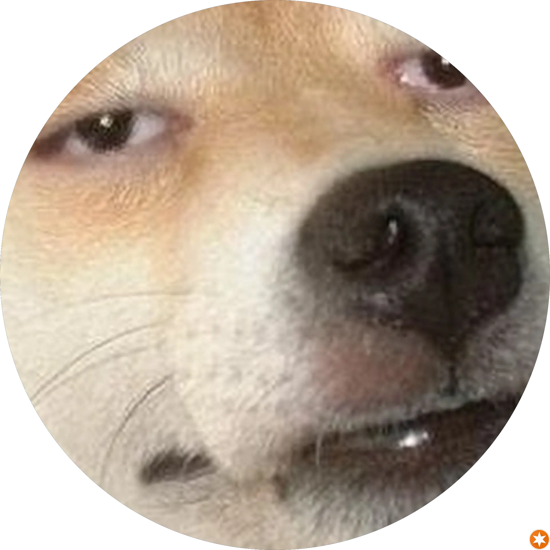 Knwtmsyn