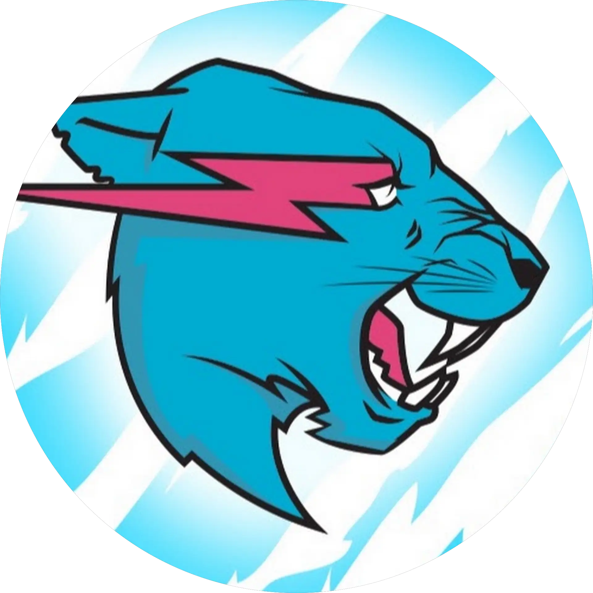 MrBeast Shorts