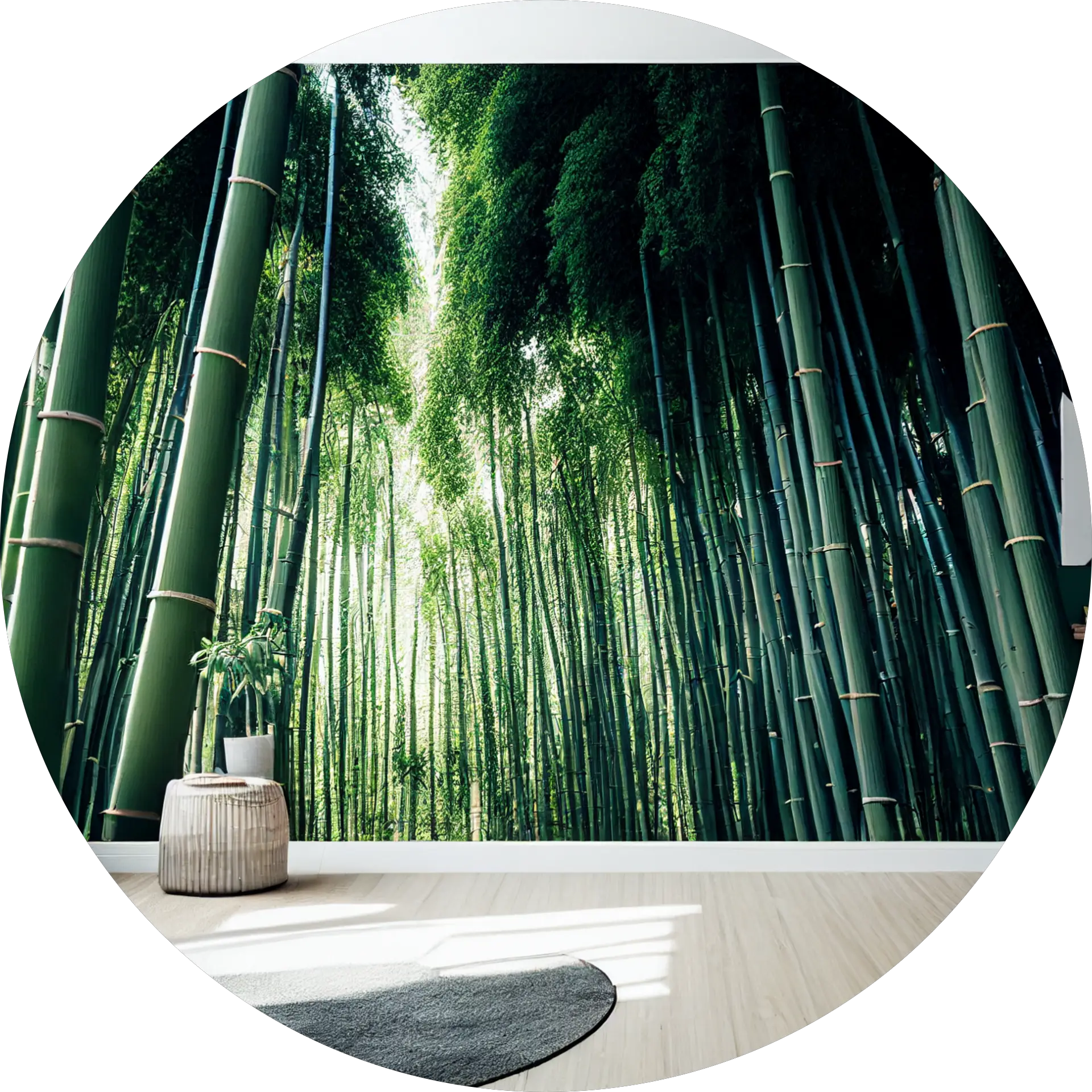 1Eco Shop