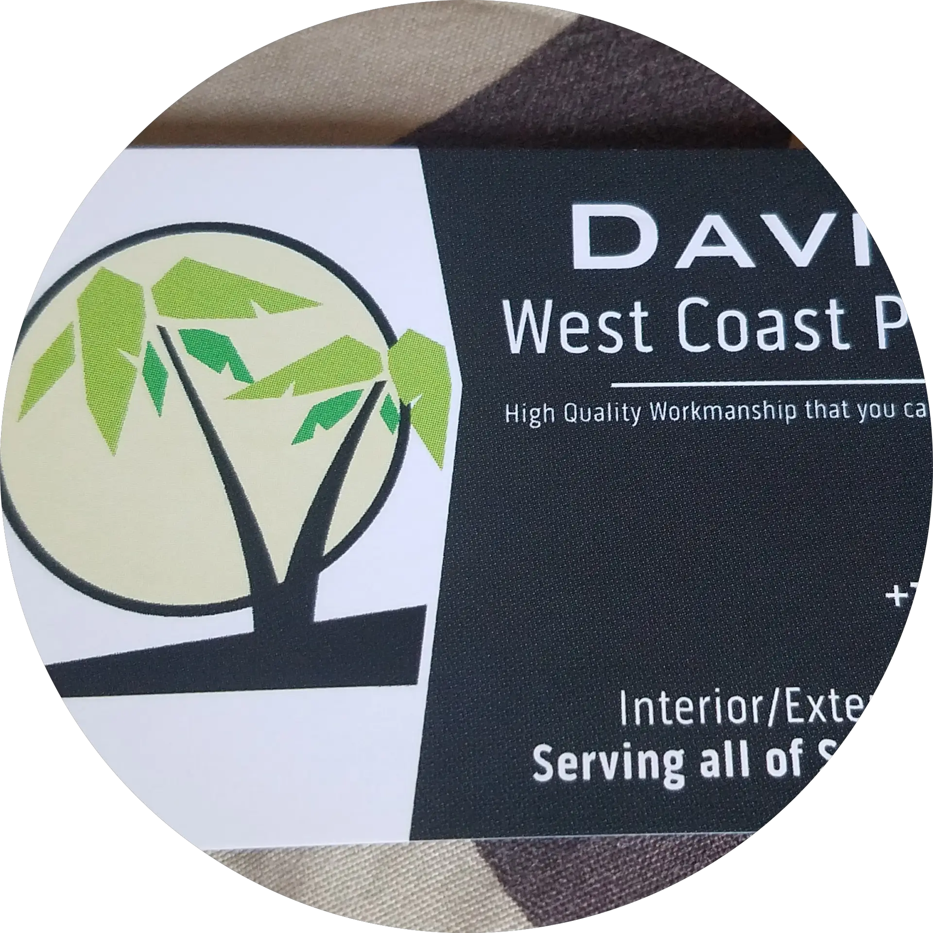 David's West Coast Painting