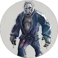 Shervin BJJ