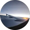 AVI G