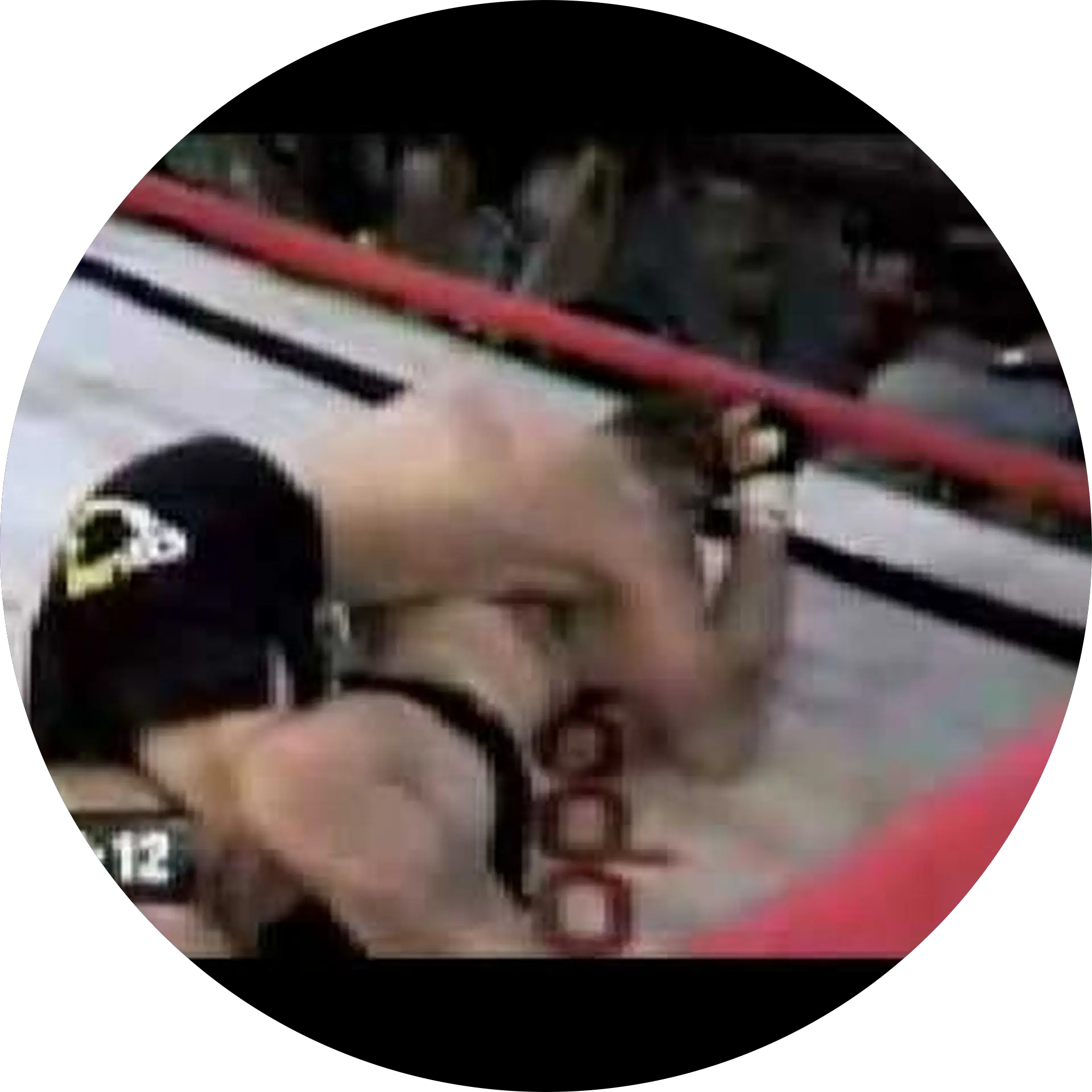 gracie1979