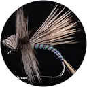 Raymond Collette (TheOkayfisherman)