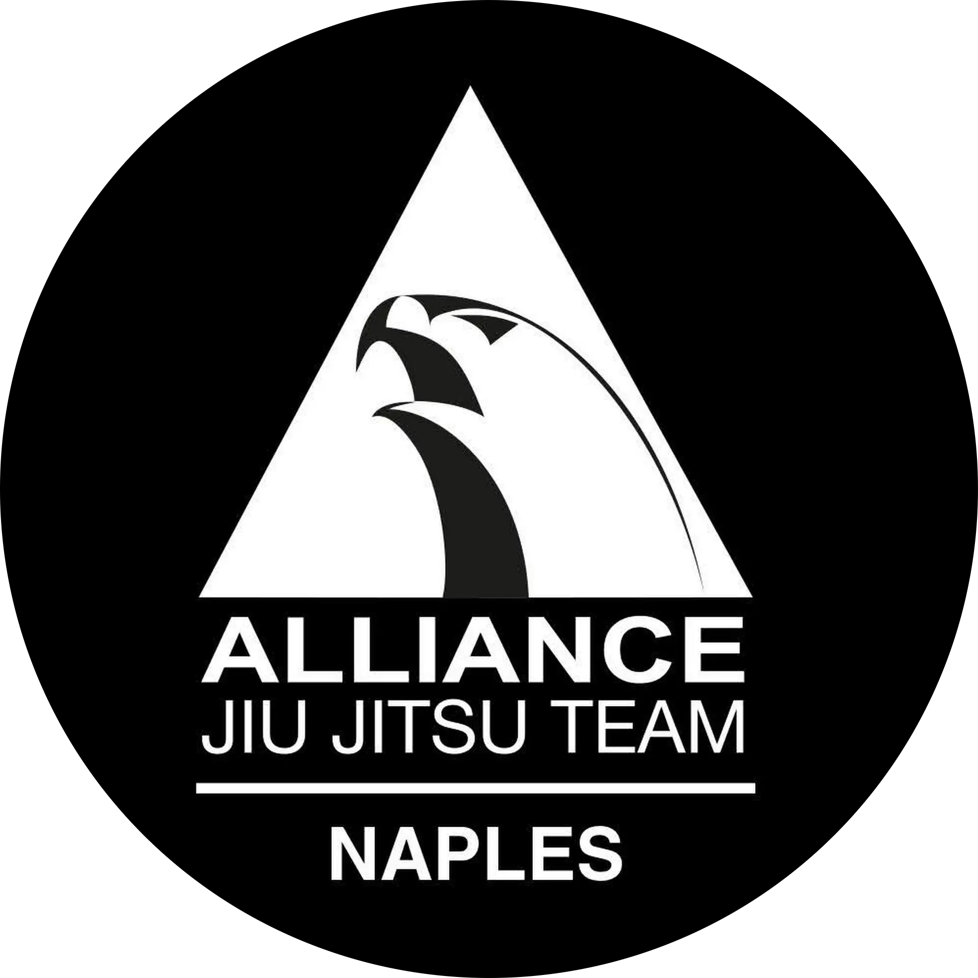 Alliance Jiu Jitsu Naples - Medley School