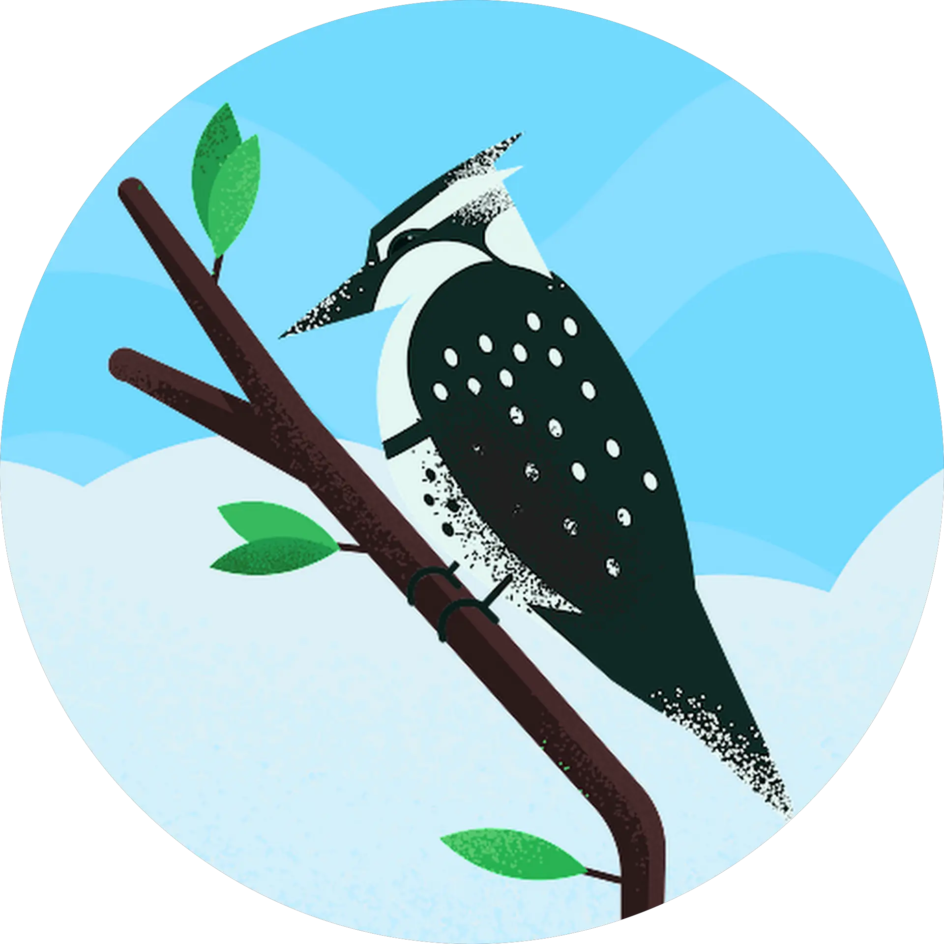 L Humminbird