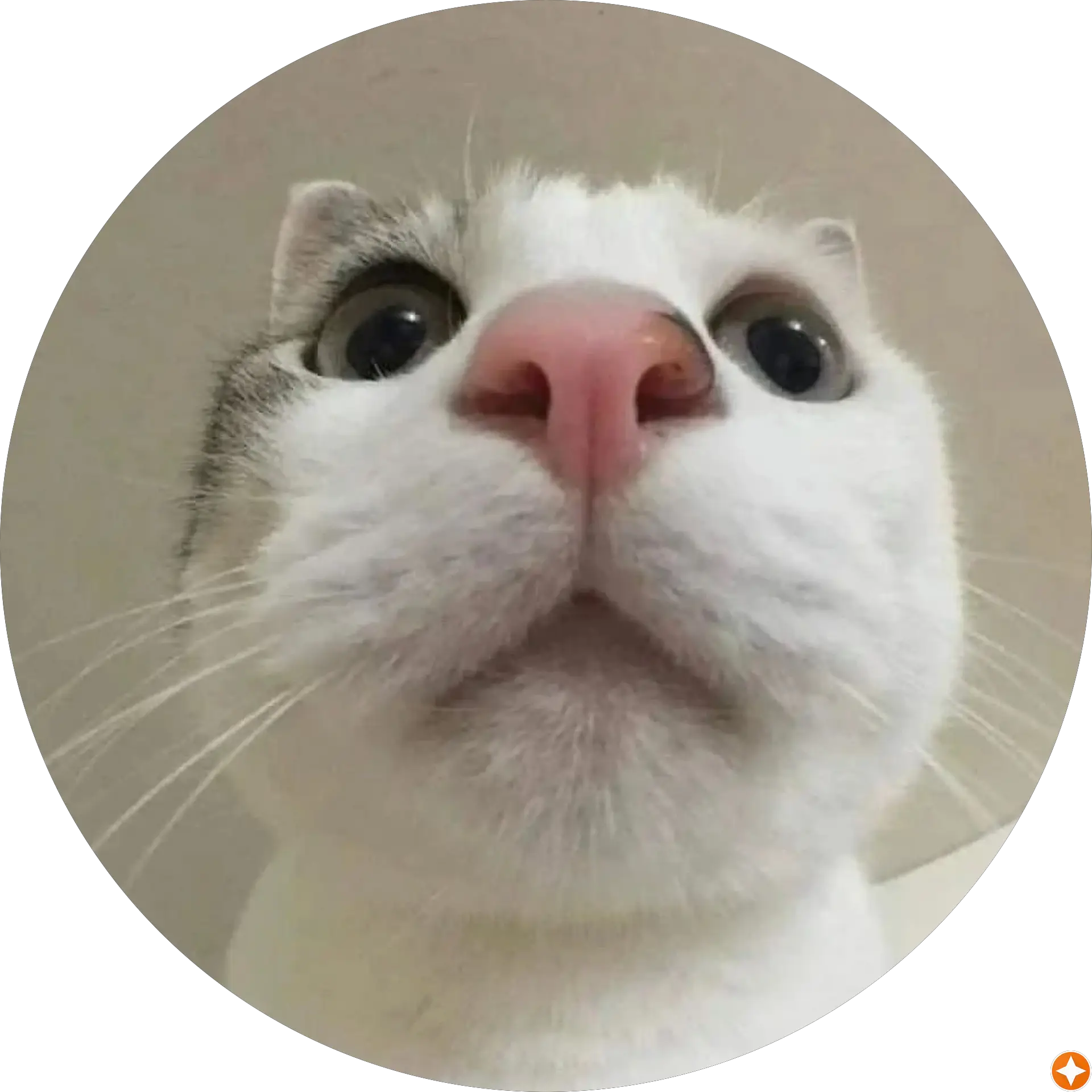 Ian