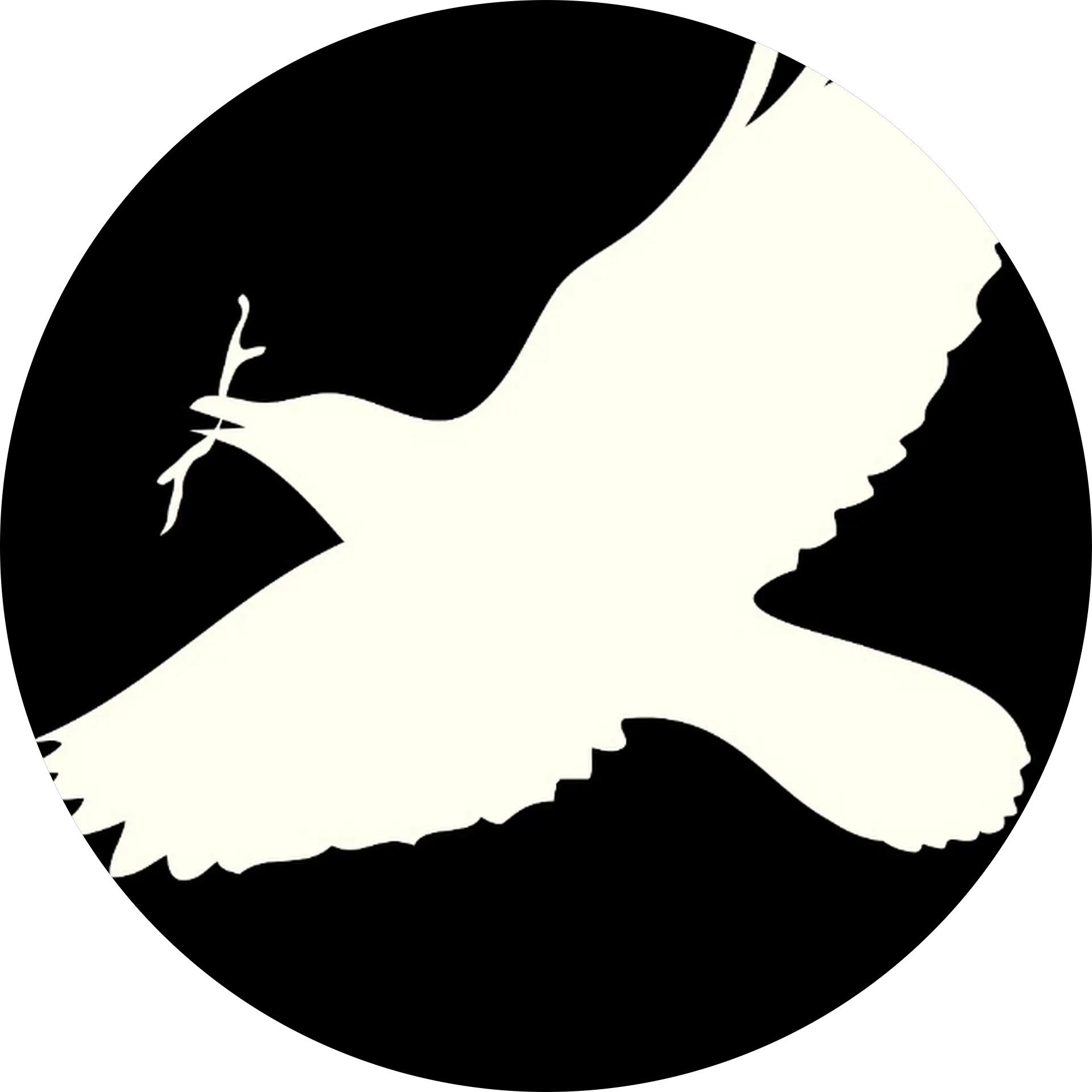 Laughing Crow Salon