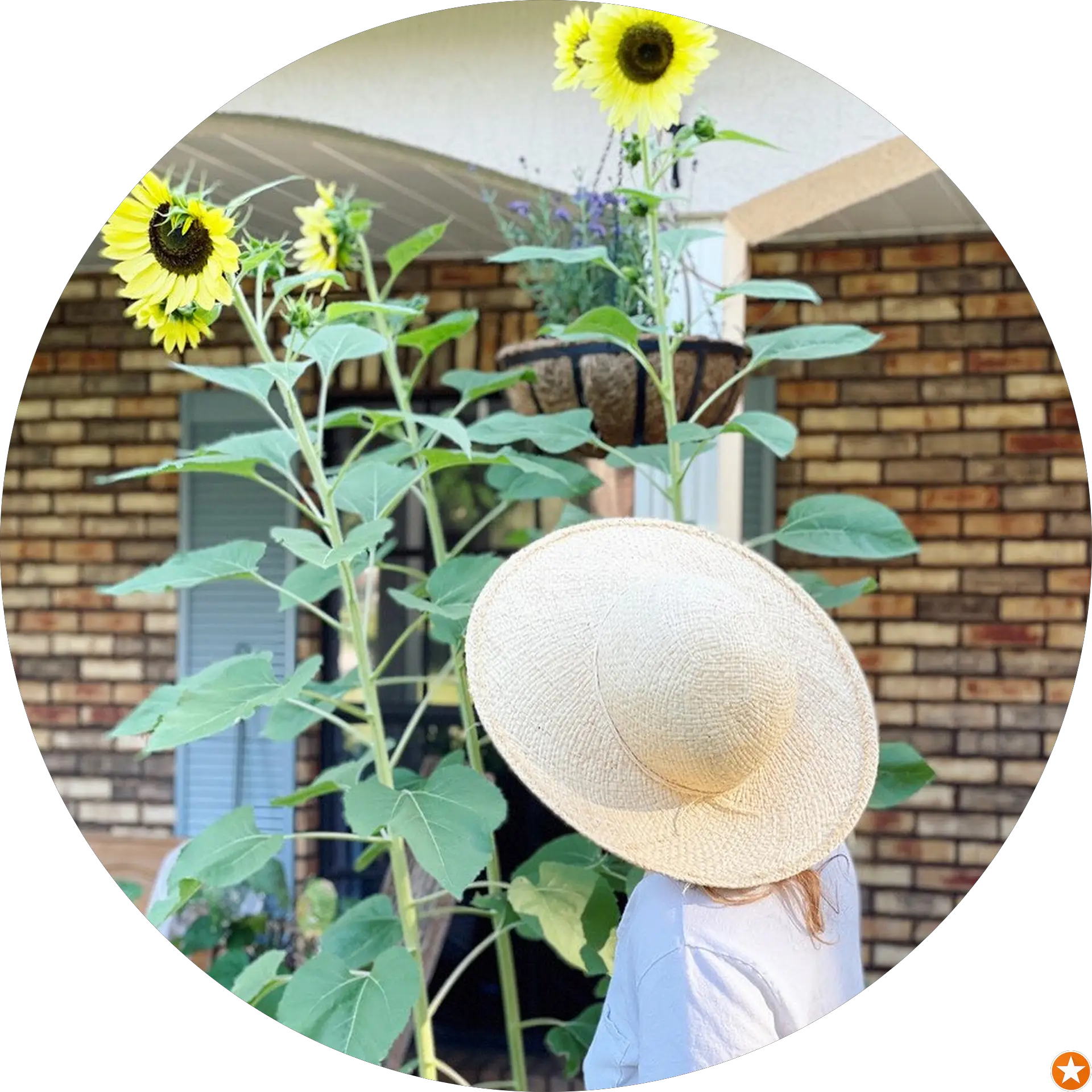 Upcycled Gardener