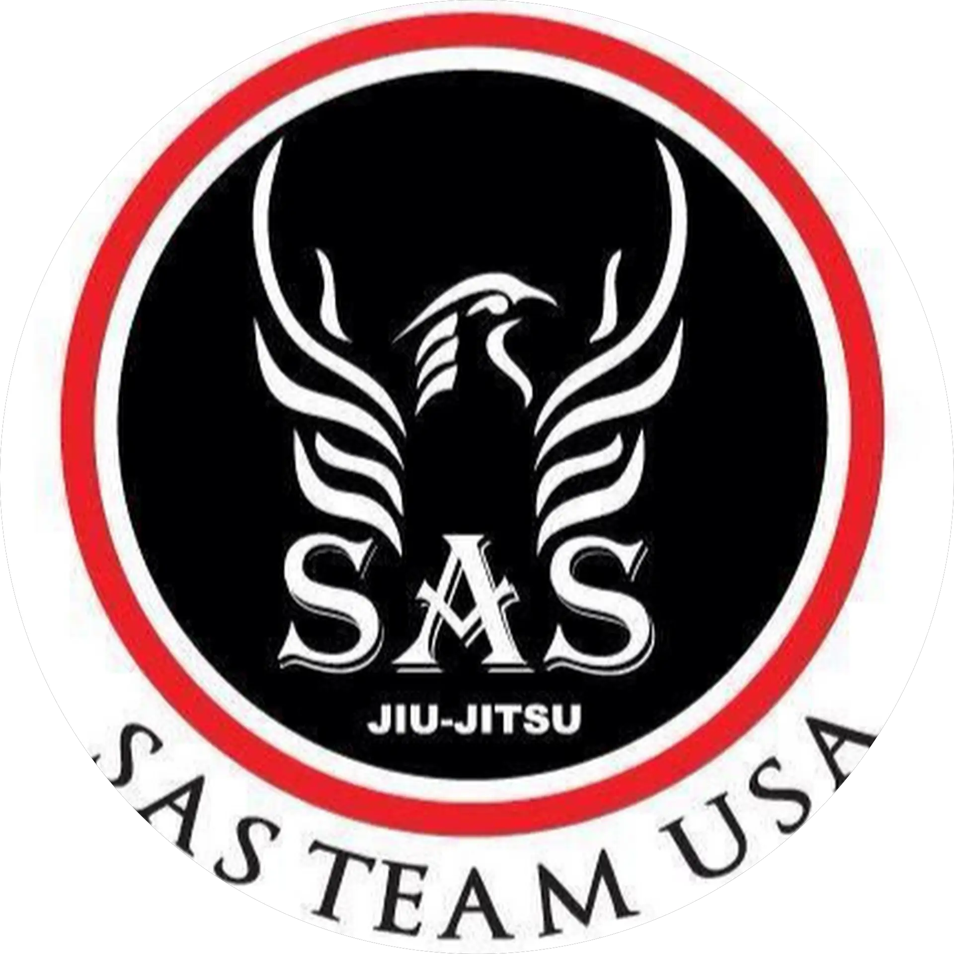 Sas Team Syracuse