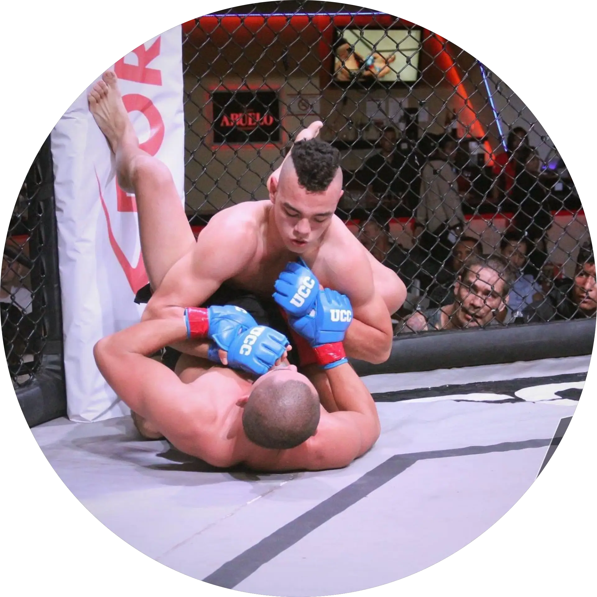 Alex Arteaga