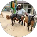 Shania Haynes
