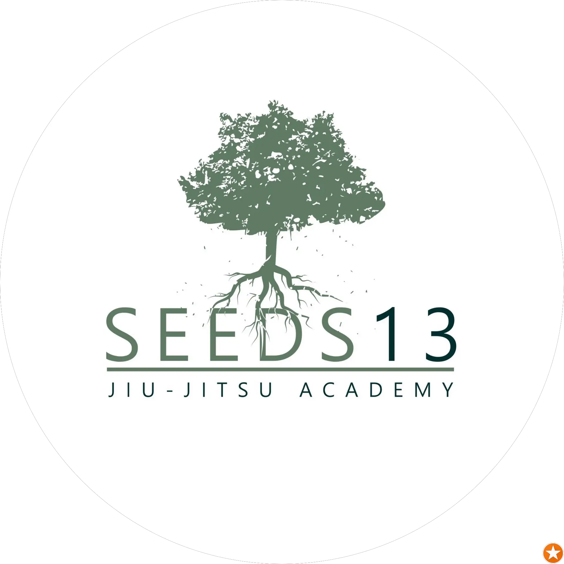 Seeds 13 San Angelo