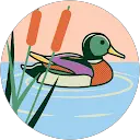 BikiniGem XLY