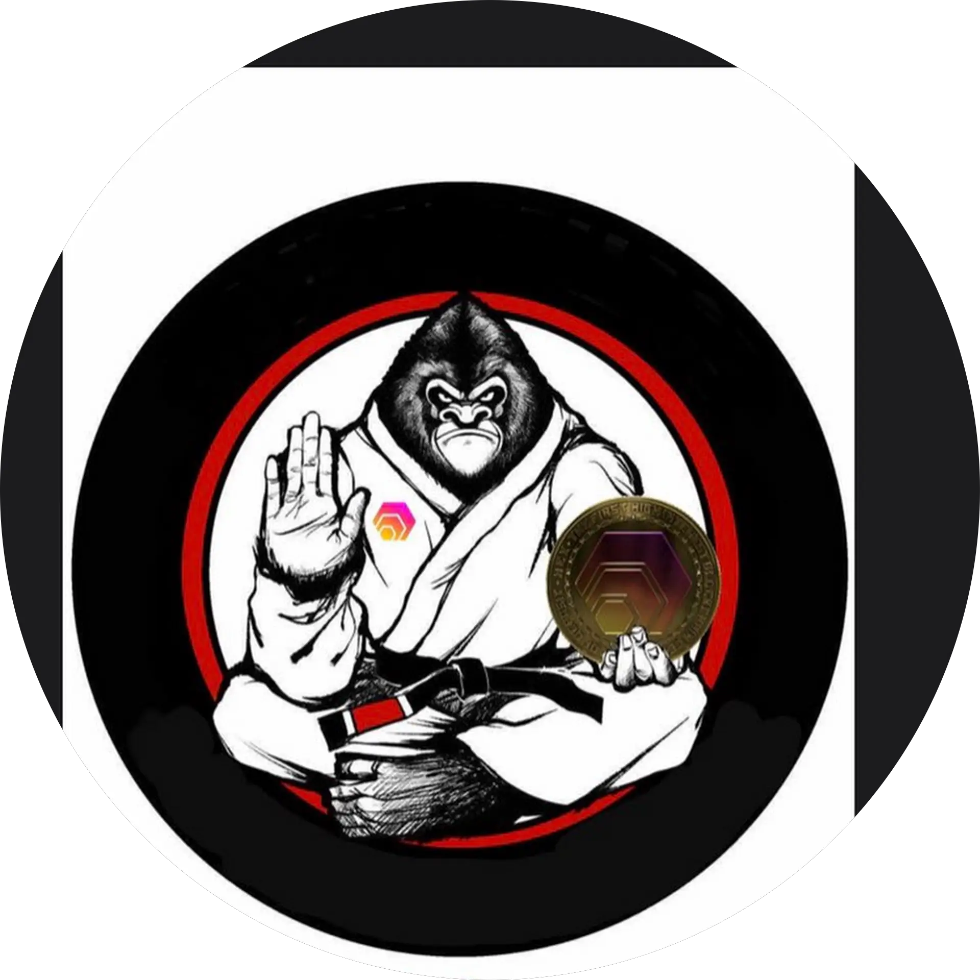 Hex MMA (HICSMMA)